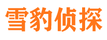 千阳市调查公司